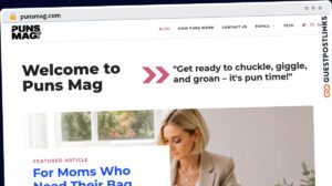 Publish Guest Post on punsmag.com