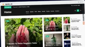 Publish Guest Post on tgtube.uk