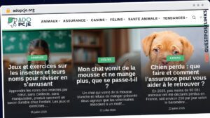 Publish Guest Post on adopcje.org