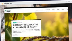 Publish Guest Post on adopcje.org