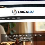 Publish Guest Post on animaleo.net