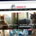 Publish Guest Post on animalio.info