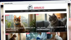 Publish Guest Post on animalio.info