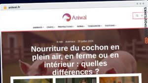 Publish Guest Post on aniwal.fr