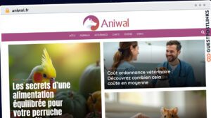 Publish Guest Post on aniwal.fr