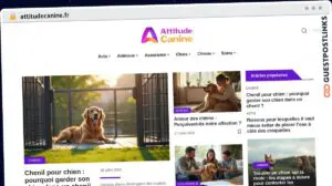 Publish Guest Post on attitudecanine.fr