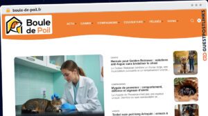 Publish Guest Post on boule-de-poil.fr