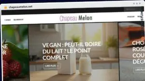 Publish Guest Post on chapeaumelon.net