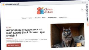 Publish Guest Post on chiensetchats.net