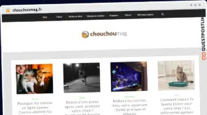 Publish Guest Post on chouchoumag.fr