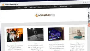 Publish Guest Post on chouchoumag.fr
