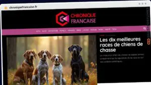 Publish Guest Post on chroniquefrancaise.fr