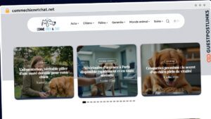 Publish Guest Post on commechienetchat.net