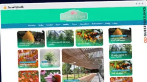 Publish Guest Post on havetips.dk
