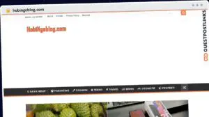 Publish Guest Post on hobingeblog.com