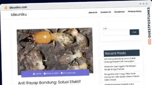 Publish Guest Post on ideuniku.com