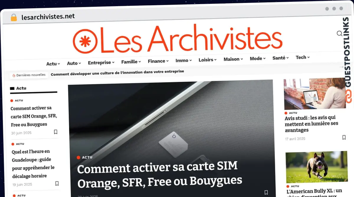 Publish Guest Post on lesarchivistes.net