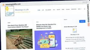 Publish Guest Post on meaningsinlife.com