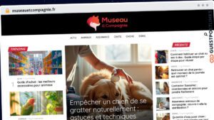 Publish Guest Post on museauetcompagnie.fr
