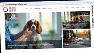 Publish Guest Post on onnemavaitpasditque.com