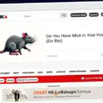 Publish Guest Post on republika.co.id