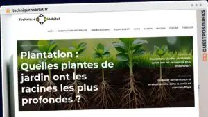 Publish Guest Post on techniquehabitat.fr