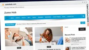 Publish Guest Post on zumohub.com