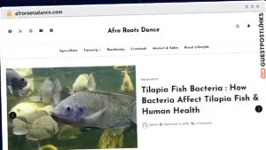 Publish Guest Post on afrorootsdance.com