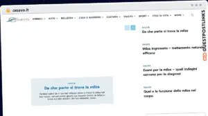 Publish Guest Post on cesavo.it