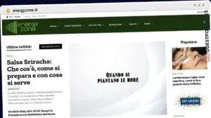 Publish Guest Post on energyzone.it
