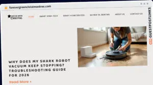 Publish Guest Post on forevergreenchristmastree.com