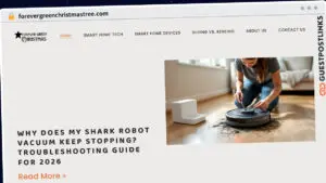 Publish Guest Post on forevergreenchristmastree.com