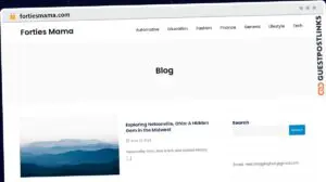 Publish Guest Post on fortiesmama.com