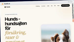 Publish Guest Post on hunds.se