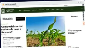 Publish Guest Post on mostradegas.it