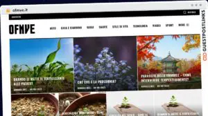 Publish Guest Post on ofmve.it