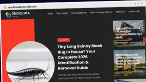 Publish Guest Post on onokuwacreation.com