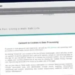 Publish Guest Post on ourwabisabilife.com