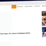 Publish Guest Post on photoswish.org
