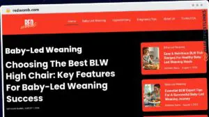 Publish Guest Post on redwomb.com