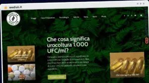 Publish Guest Post on seedlab.it