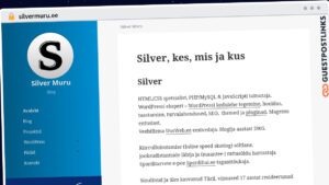 Publish Guest Post on silvermuru.ee