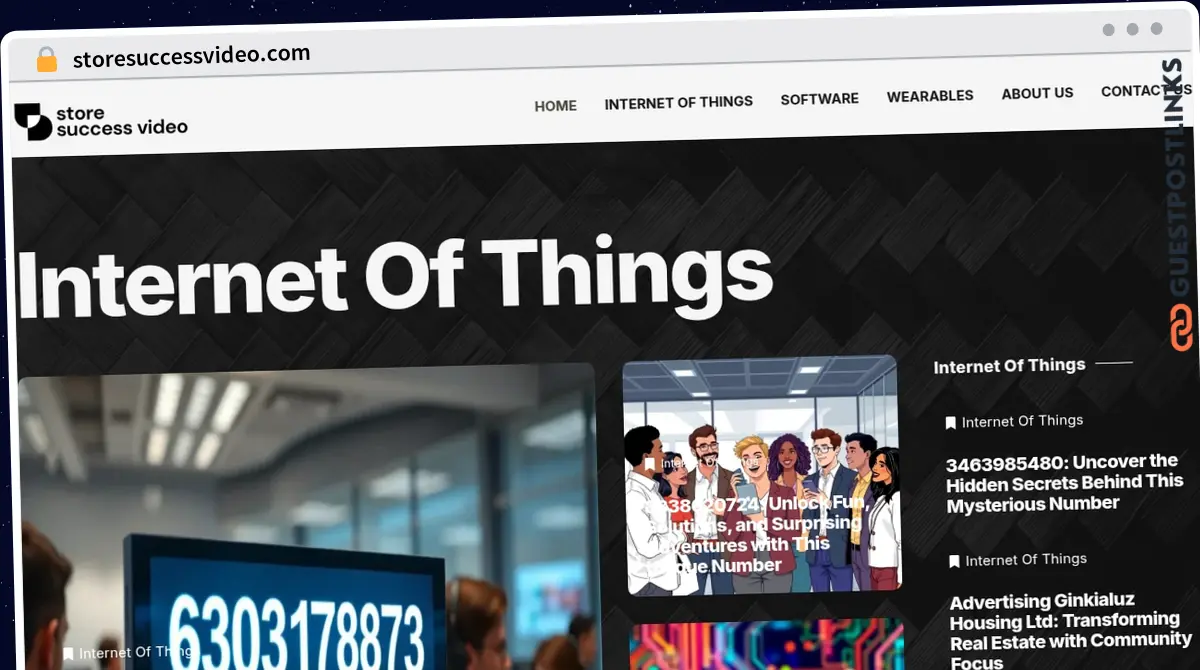 Publish Guest Post on storesuccessvideo.com
