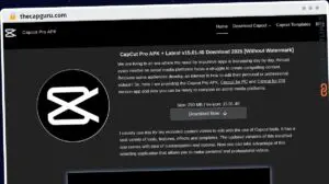 Publish Guest Post on thecapguru.com