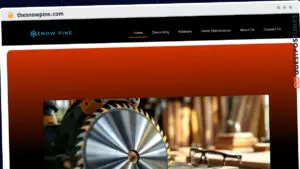 Publish Guest Post on thesnowpine.com
