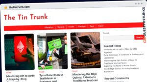 Publish Guest Post on thetintrunk.com