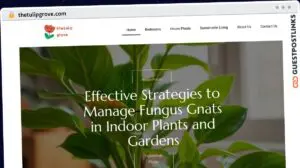 Publish Guest Post on thetulipgrove.com