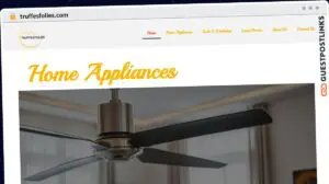 Publish Guest Post on truffesfolies.com