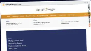 Publish Guest Post on uprightblogger.com