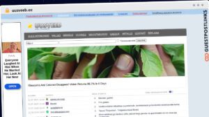 Publish Guest Post on uusveeb.ee